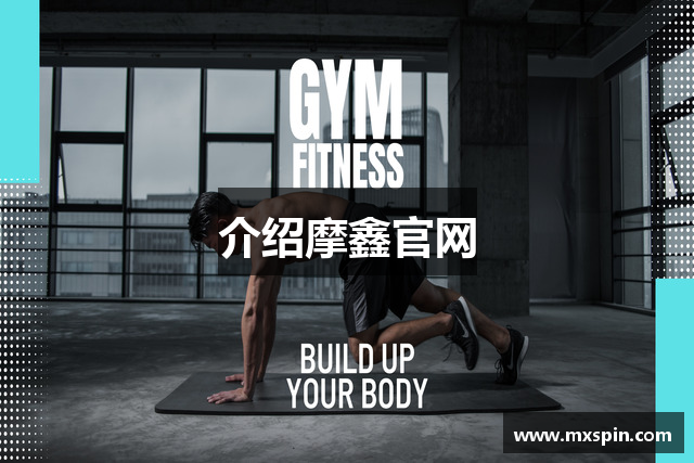 介绍摩鑫官网